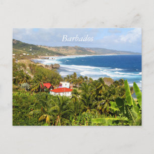 Postale Barbados Carte postale, Océan, arbres tropicaux