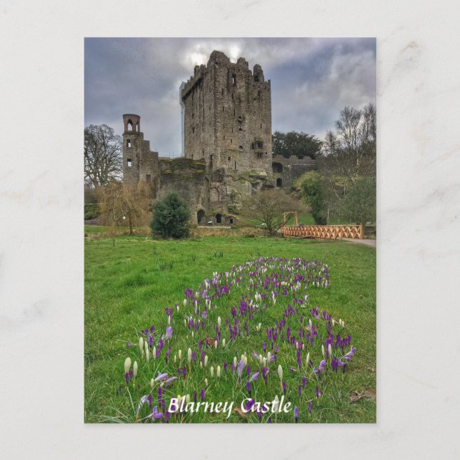 Postale Blarney Castle, Comté de Cork, Irlande Carte posta (Devant)