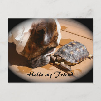 Postale Bonjour ma carte de poste d'ami