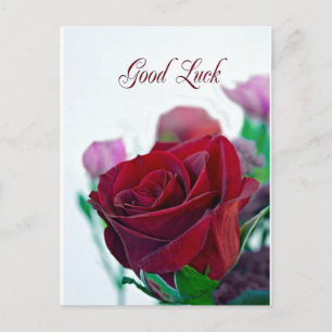 Postale Bonne chance carte avec une rose rouge classique