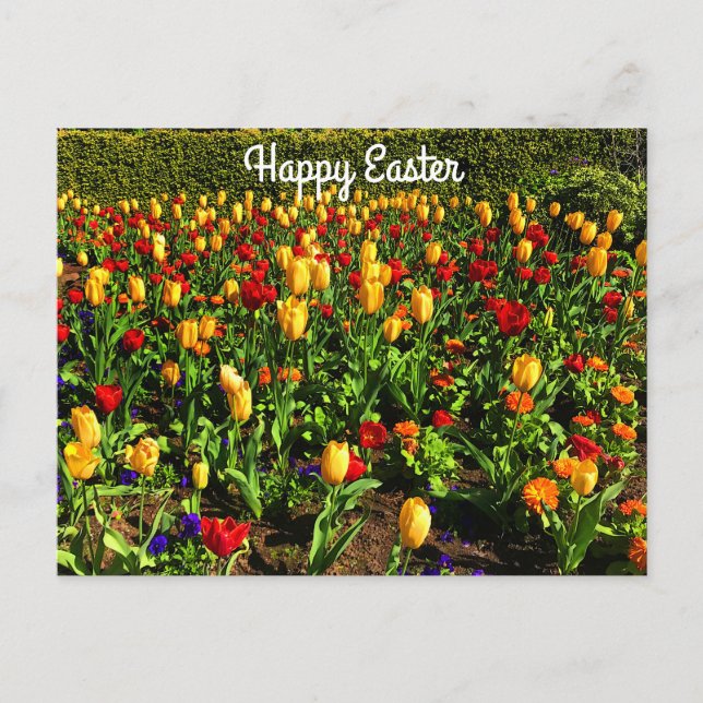 Postale Bonne Pâques Rouge & Tulipes Jaunes #1 Carte posta (Devant)