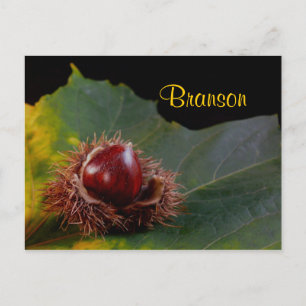 Postale Branson Missouri, Feuilles D'Automne Avec Carte Po