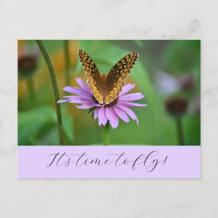 Postale Butterfly Time for New Life Adventures Carte posta