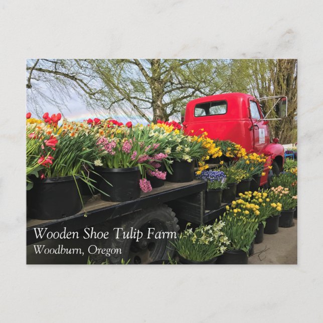Postale Camion rouge avec fleur de printemps et carte post (Devant)