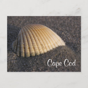 Postale Cape Cod Seashell sur la carte de poste de plage