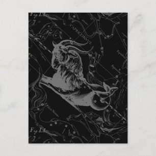 Postale Capricorne Constellation Carte Hevelius Engraving