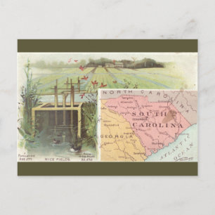 Postale Carte ancienne de Caroline du Sud