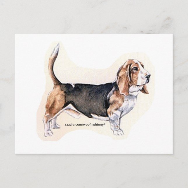 Postale Carte Basset Hound (Devant)