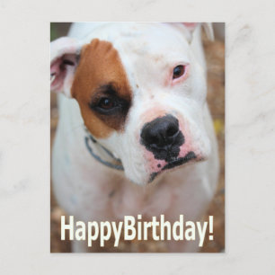 Postale Carte Boop Anniversaire