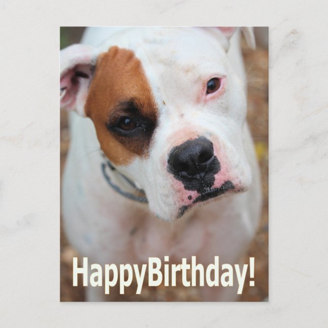 Postale Carte Boop Anniversaire (Devant)