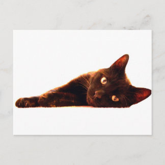 Postale Carte Cat