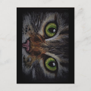 Postale Carte chat