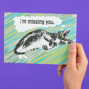 Postale carte chat personnalisable noir et blanc