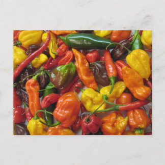 Postale Carte Chilihead