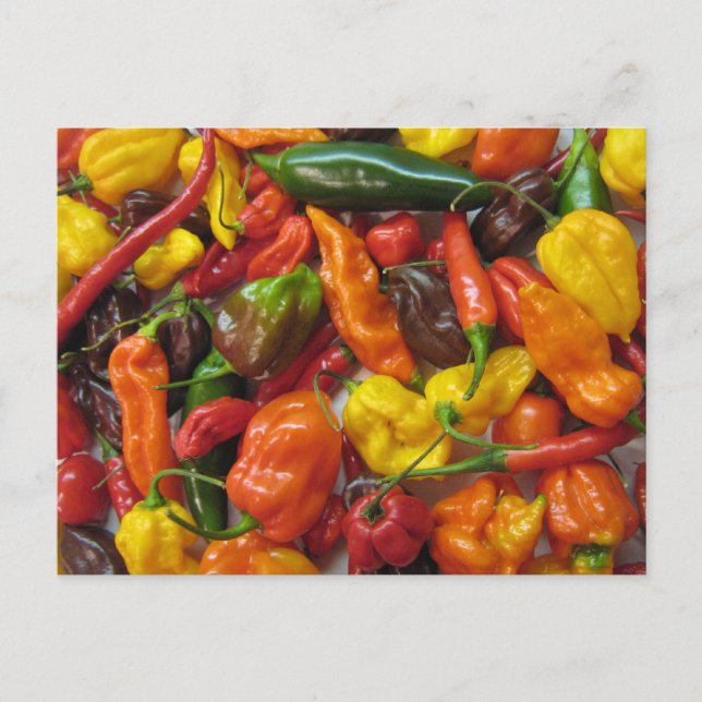 Postale Carte Chilihead (Devant)