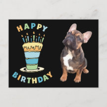 Carte d'anniversaire Bouledogue français Carte pos