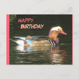 Postale Carte d'anniversaire Canard mandarin joyeux