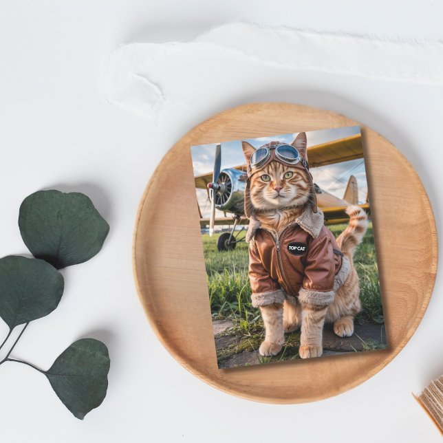 Postale Carte d'anniversaire drôle de chat pilote et d'avi (Front )
