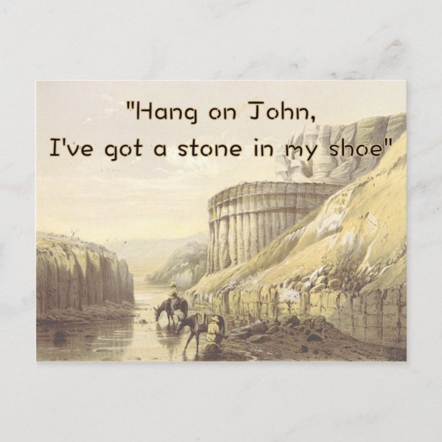 Postale Carte d'anniversaire drôle de cowboy Etats-Unis (Devant)