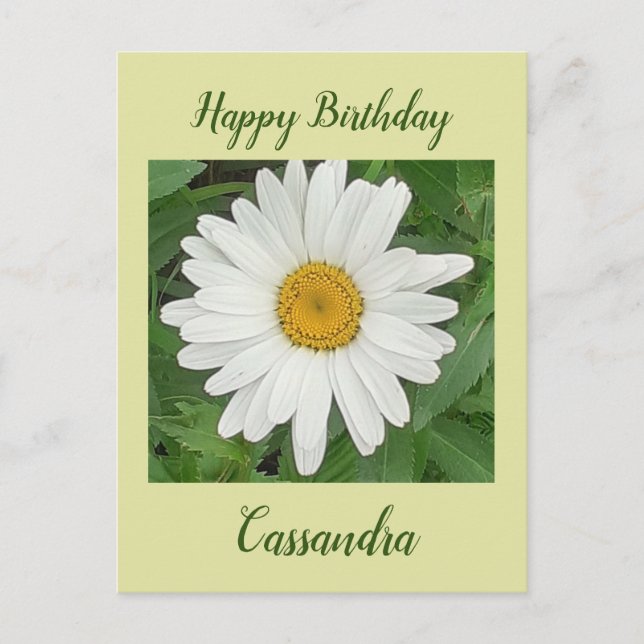 Postale Carte d'anniversaire Marguerite blanche (Devant)