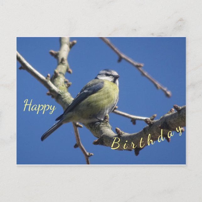 Postale Carte de Bon Anniversaire Petit Oiseau avec Ciel B (Devant)