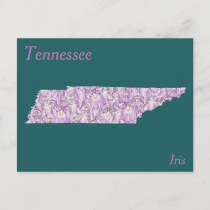 Postale Carte de collage de fleur d'état du Tennessee