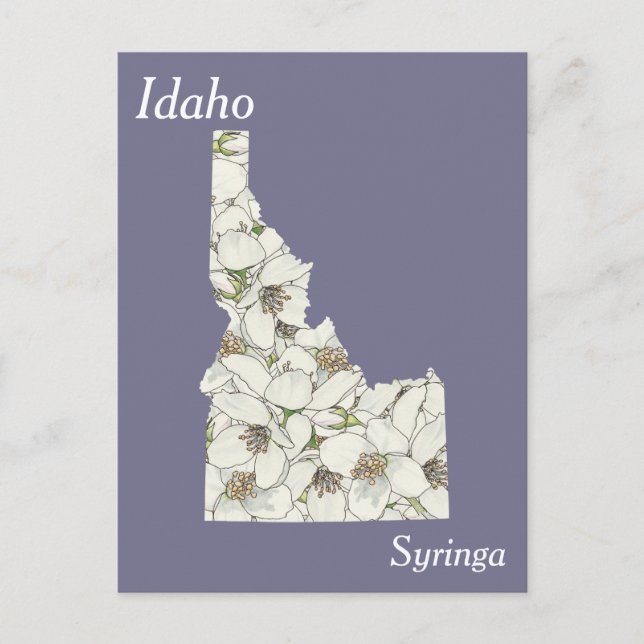 Postale Carte de collage des fleurs de l'État d'Idaho (Devant)