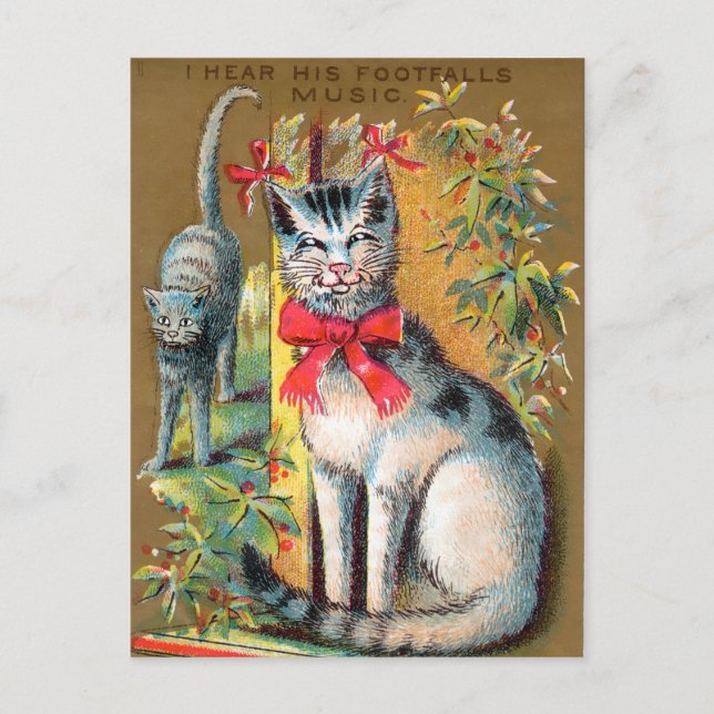Postale Carte de commerce pour chats Frears #1 (sur 6) (Devant)