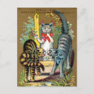 Postale Carte de commerce pour chats Frears #3 (sur 6)