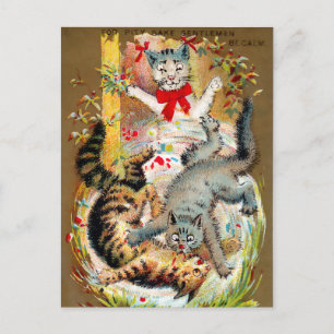 Postale Carte de commerce pour chats Frears #4 (sur 6)