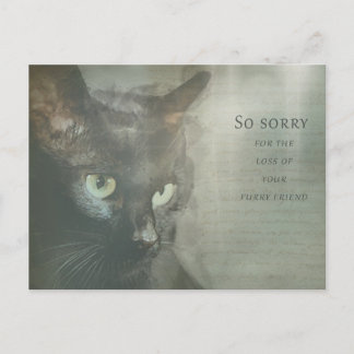 Postale Carte de condoléances Chat - Noir - Sympathy Card