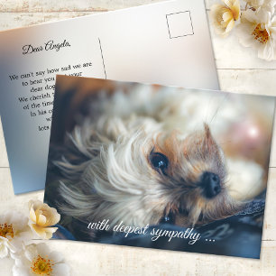 Postale Carte de condoléances pour chien