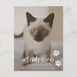 Postale Carte de Faire-part de chat ou de chat