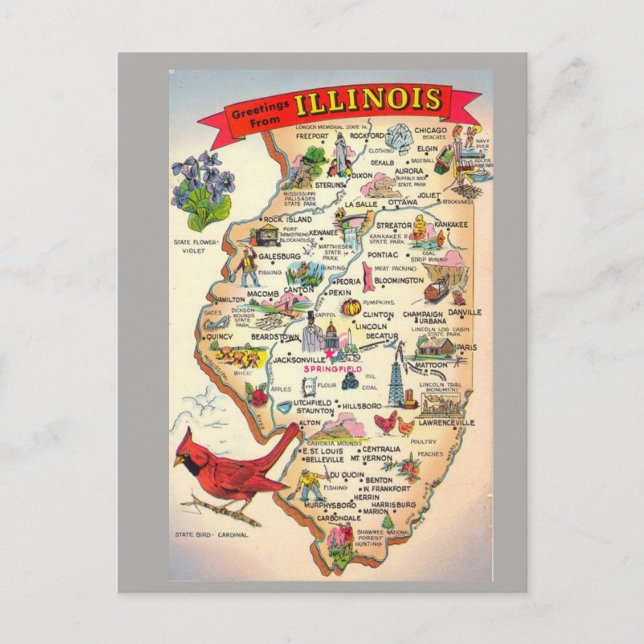 Postale Carte de l'État de l'Illinois (Devant)