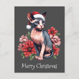 Postale Carte de Noël Chat Sphynx portant un chapeau de
