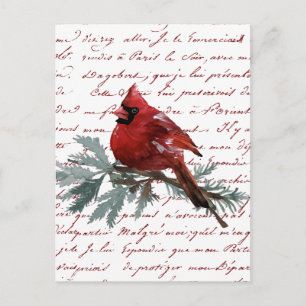 Postale Carte de Noël Oiseau Cardinal Rouge Écriture Franç