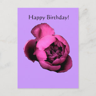 Postale Carte de Peony Birthday