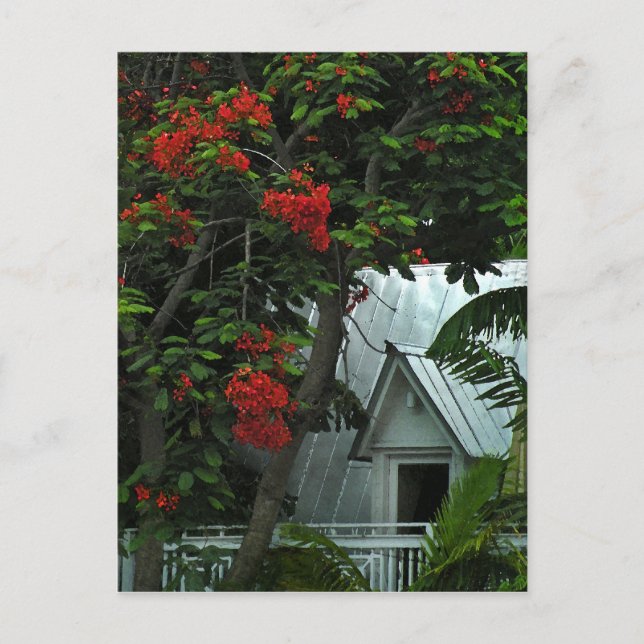Postale Carte de poste KeyWest Tin Room (Devant)
