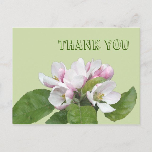 Postale Carte de remerciement, fleurs de pommier (Devant)