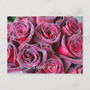 Postale Carte de remerciement Velvet Beauty