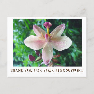 POSTALE CARTE DE REMERCIEMENTS