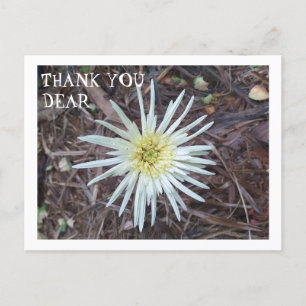 POSTALE CARTE DE REMERCIEMENTS