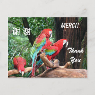 Postale Carte de remerciements anglais/français/chinois