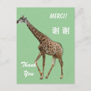 Postale Carte de remerciements anglais/français/chinois