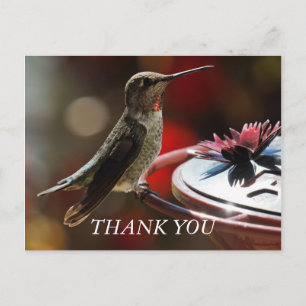 Postale Carte de remerciements colibri