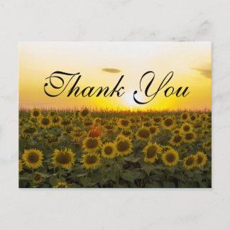 Postale Carte de remerciements de tournesols