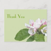 Carte de remerciements, fleurs de pomme