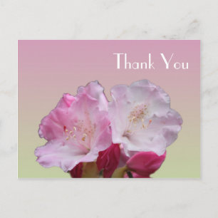 Postale Carte de remerciements, fleurs roses de rhododendr