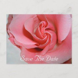 Postale Carte de sauvegarde de date