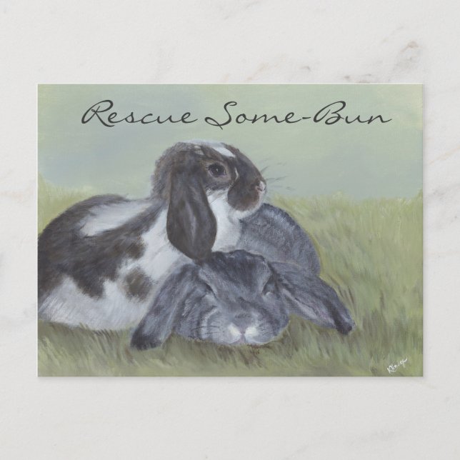 Postale Carte de Secourt de lapin (Devant)